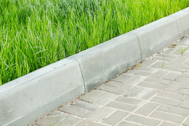 Concrete Edging in a Landscape